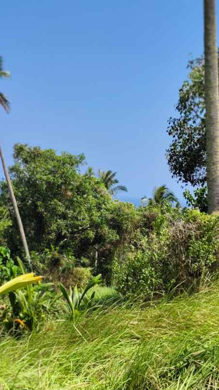 dijual tanah pantai balian selemadeg