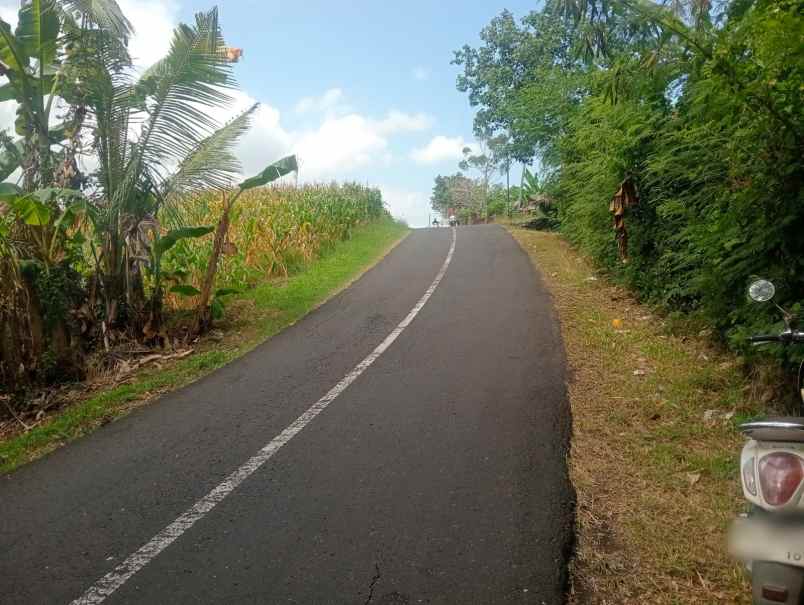 dijual tanah pantai beraban selemadeg