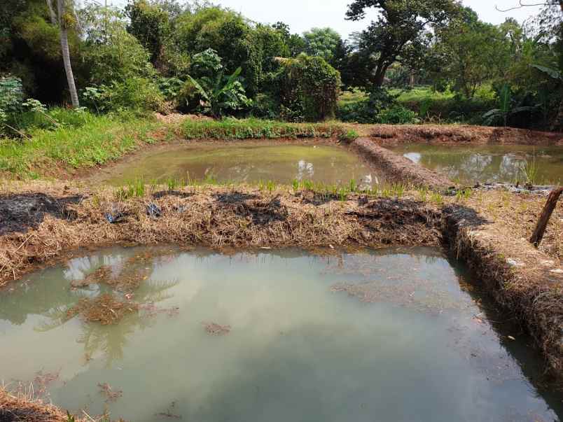 dijual tanah parung poncol rt 01 rw 02