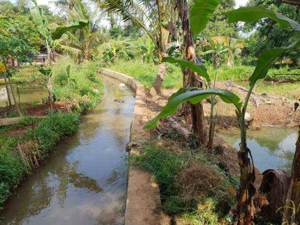 dijual tanah parung poncol rt 01 rw 02