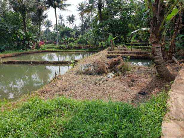 dijual tanah parung poncol rt 01 rw 02