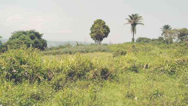 dijual tanah pasir angin gunung geulis