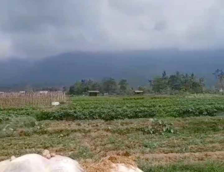 dijual tanah peusing jalaksana kuningan