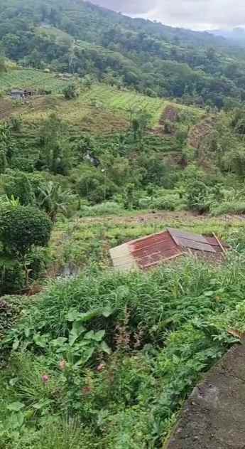 dijual tanah pinggir jalan raya baturiti
