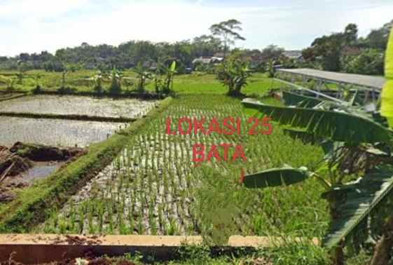 dijual tanah pinggir jl desa di beber cirebon