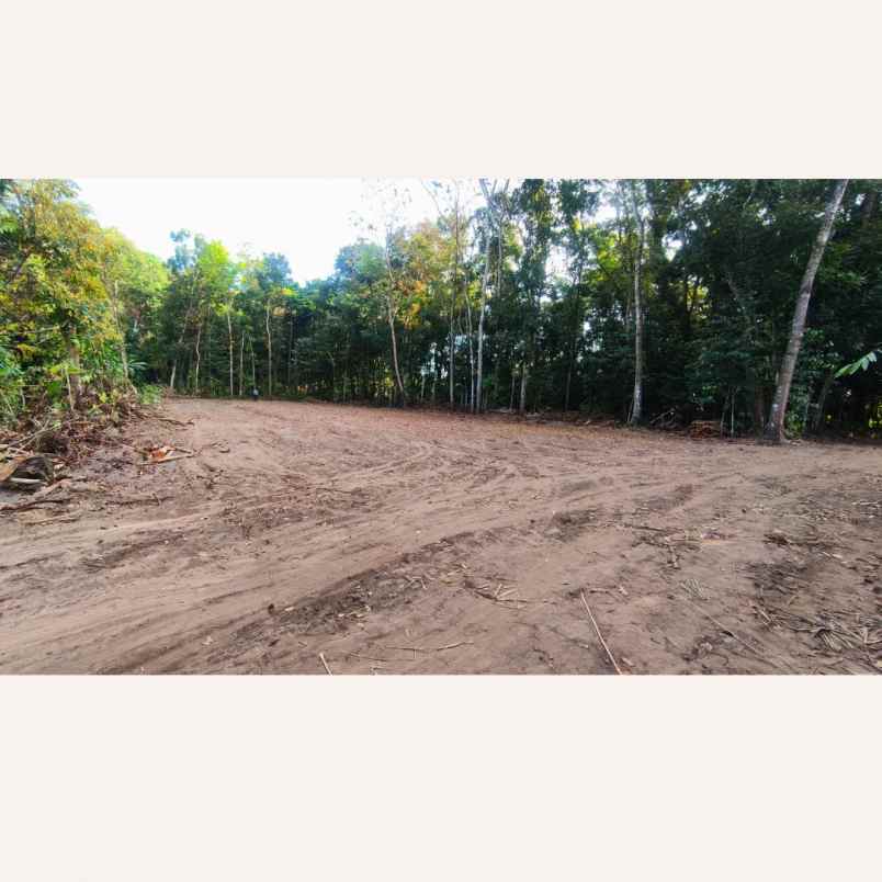 dijual tanah pondok wonolelo