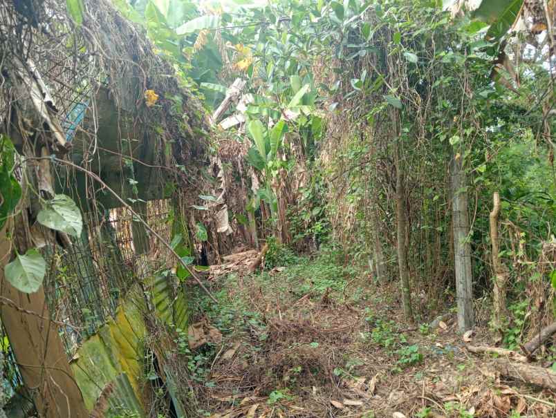 dijual tanah premium dengan lokasi yang strategis
