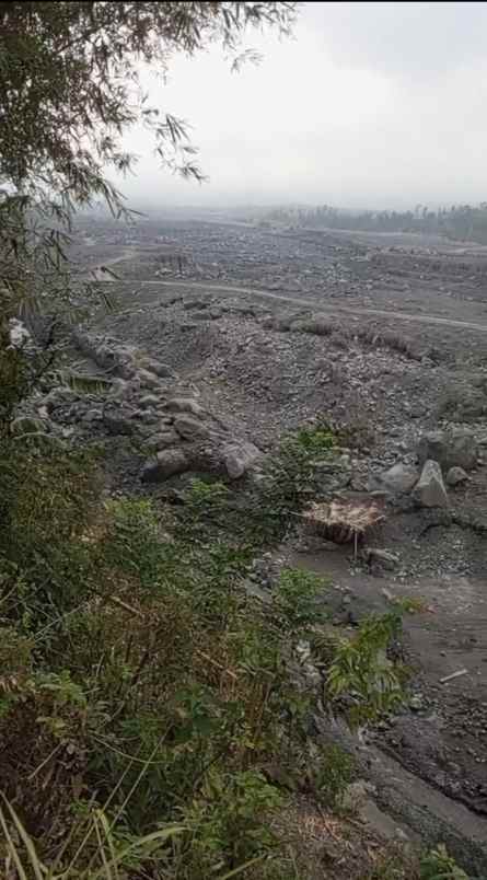 dijual tanah pronojiwo lumajang jawa timur