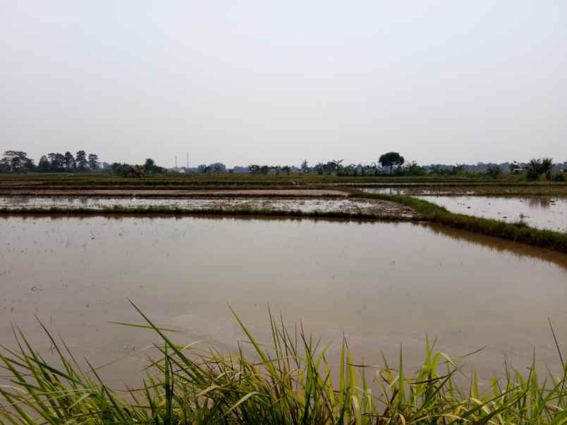 dijual tanah purwakarta kota