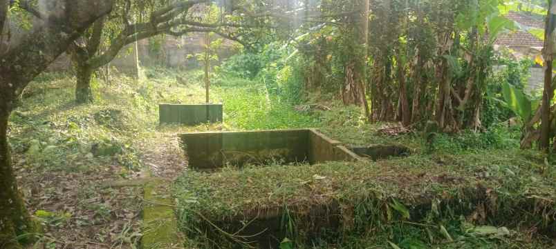 dijual tanah raya mataram lombok nusa