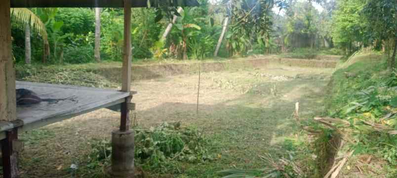 dijual tanah raya mataram lombok nusa