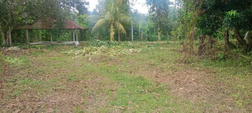 dijual tanah raya mataram lombok nusa