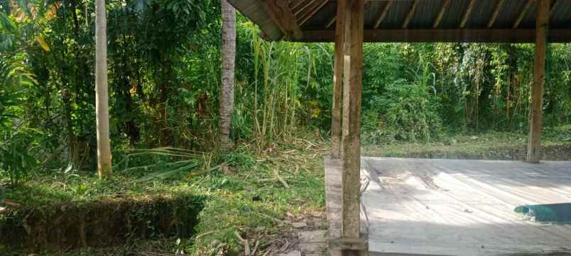 dijual tanah raya mataram lombok nusa