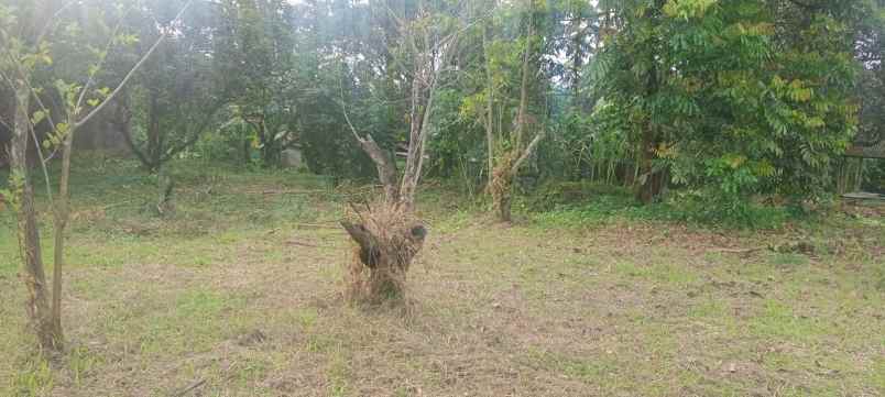 dijual tanah raya mataram lombok nusa