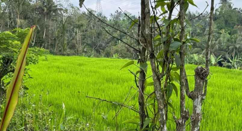 dijual tanah sanda pupuan tabanan