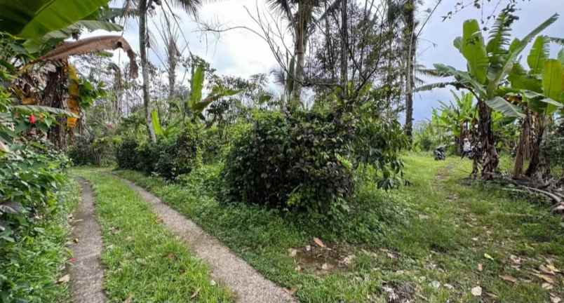 dijual tanah sanda pupuan tabanan