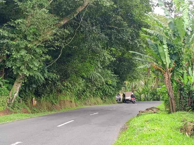 dijual tanah sanda pupuan tabanan