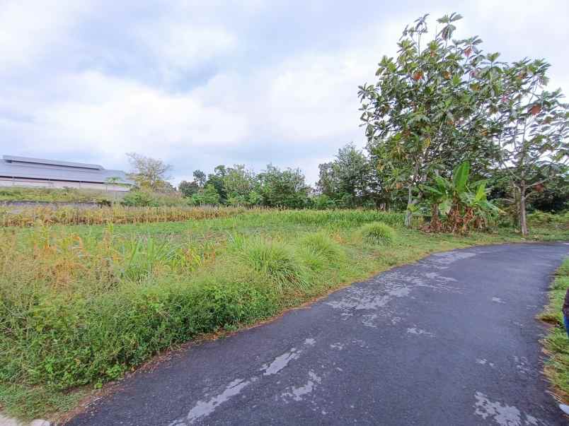 dijual tanah sardonoharjo kabupaten