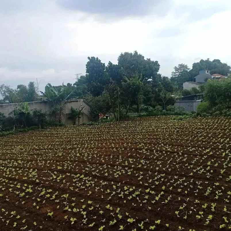 dijual tanah sariwangi bandung