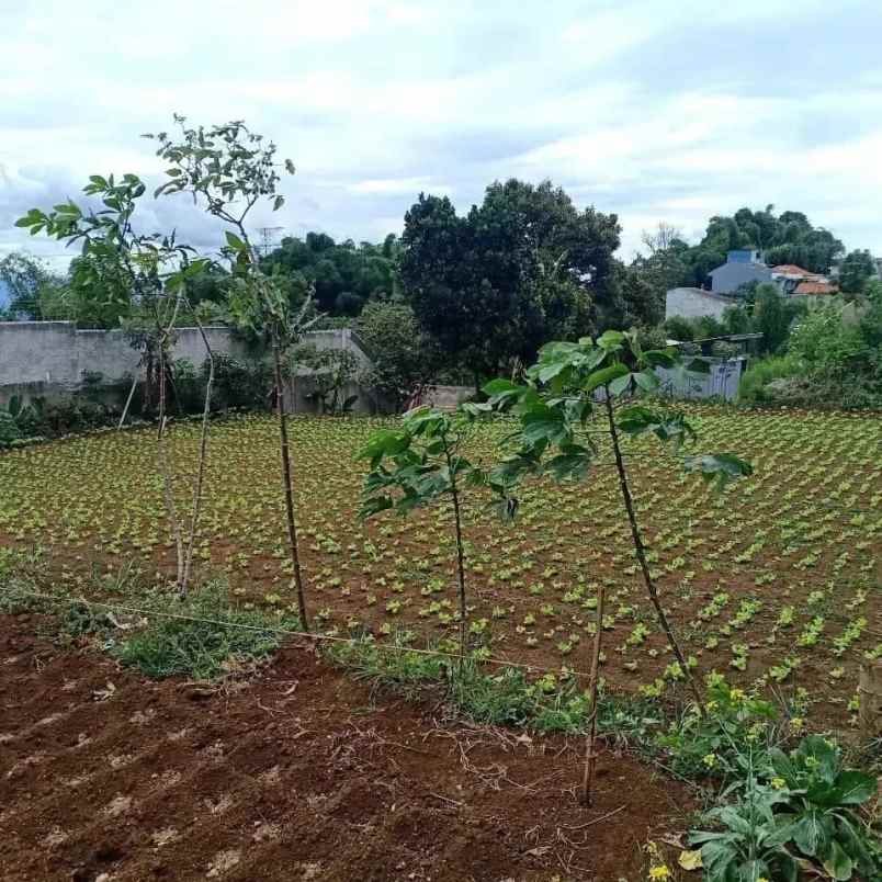 dijual tanah sariwangi bandung