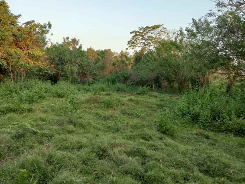 dijual tanah soan galuh beach