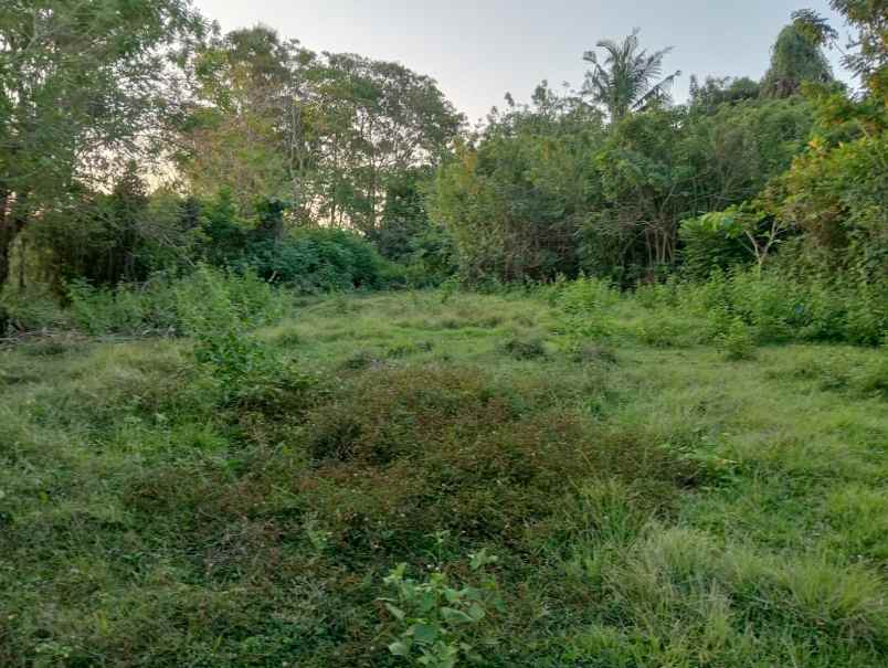 dijual tanah soan galuh beach