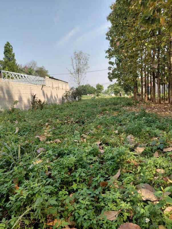 dijual tanah strategis cibinong pemda bogor kabupaten