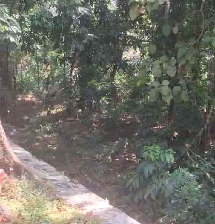 dijual tanah strategis pinggir jalan raya propinsi