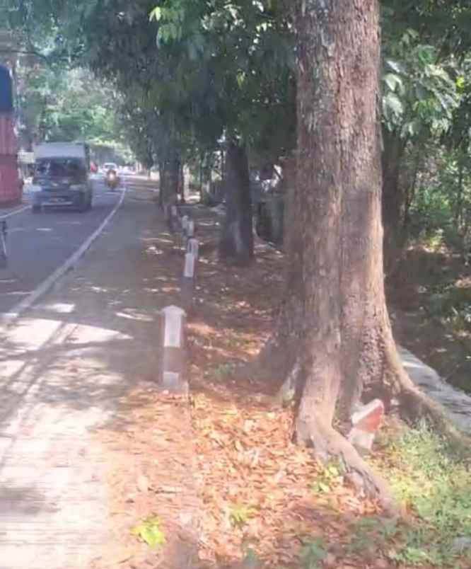 dijual tanah strategis pinggir jalan raya propinsi