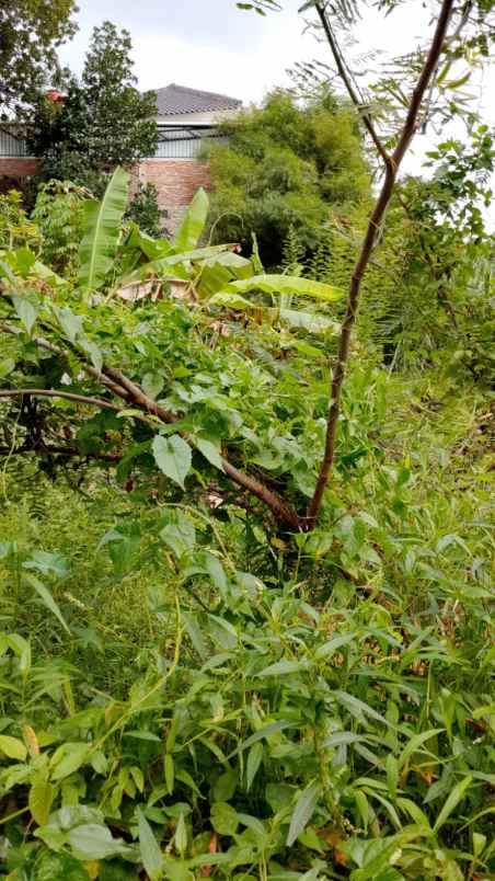 dijual tanah sukabumi bandar lampung