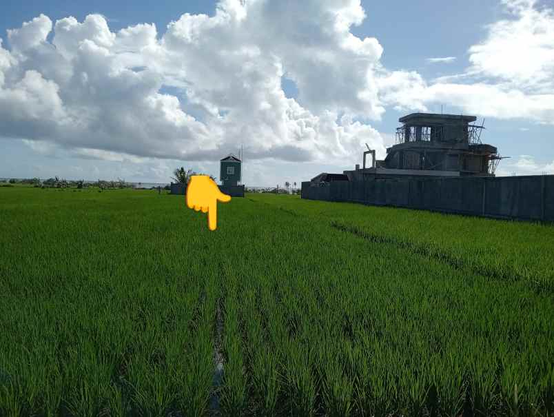 dijual tanah tibubiyu kec kerambitan