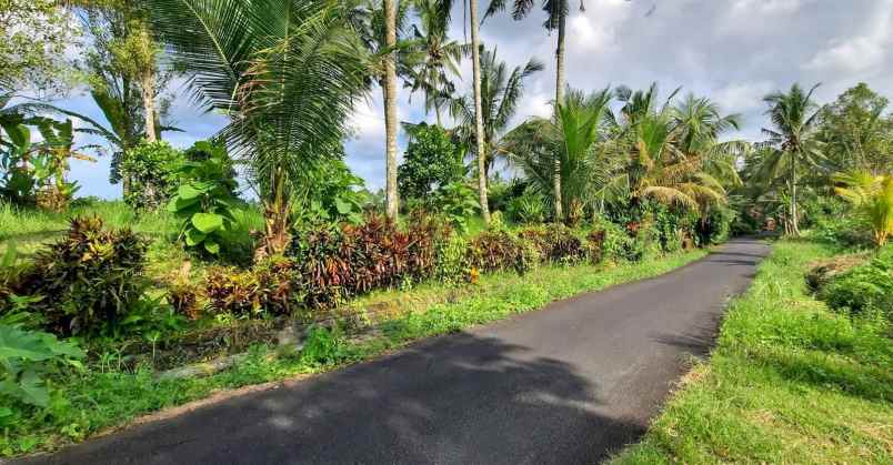 dijual tanah timpag kerambitan kab