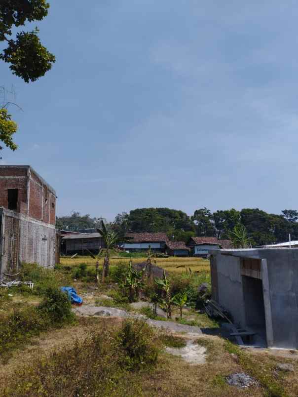 dijual tanah trawas view gunung penanggungan tamiajeng