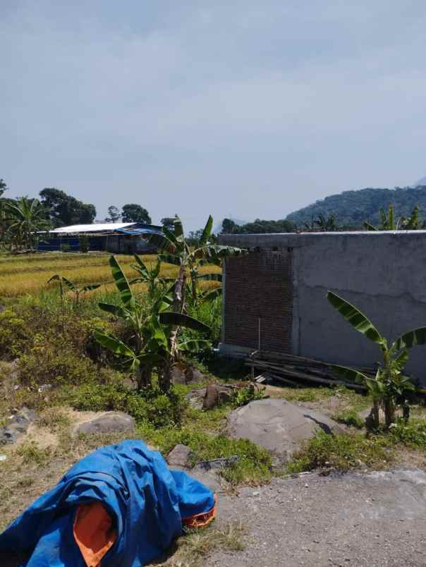 dijual tanah trawas view gunung penanggungan tamiajeng