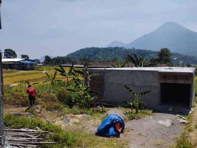 dijual tanah trawas view gunung penanggungan tamiajeng