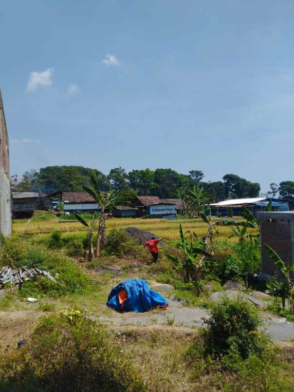 dijual tanah trawas view gunung penanggungan tamiajeng