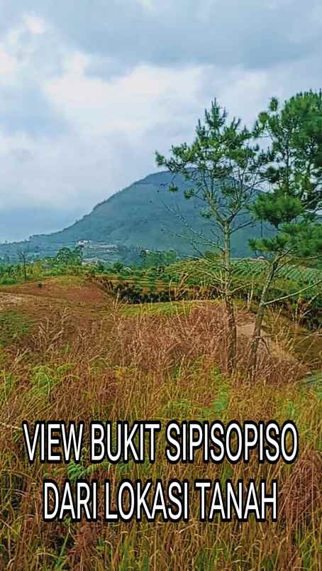 dijual tanah view danau toba
