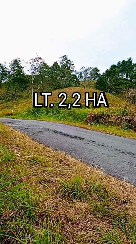 dijual tanah view danau toba