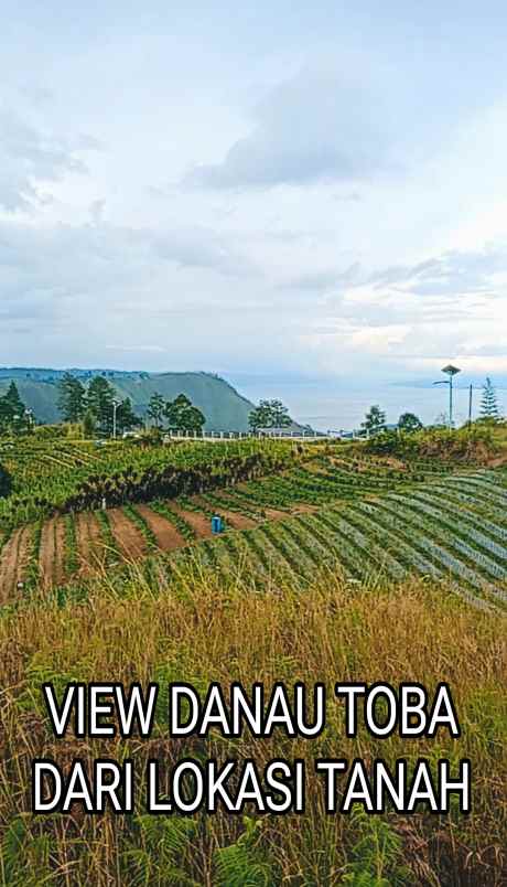 dijual tanah view danau toba