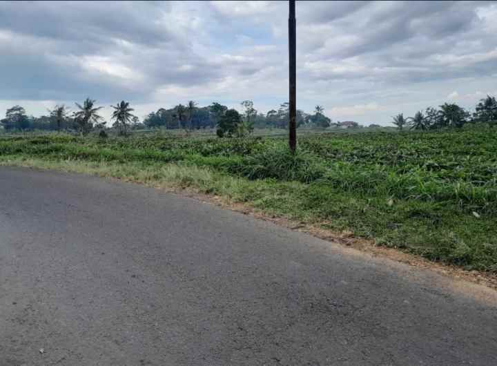 dijual tanah view gunung