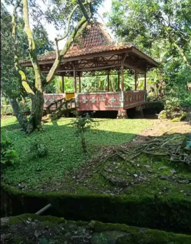 dijual villa mekarjaya kec ciomas kab bogor