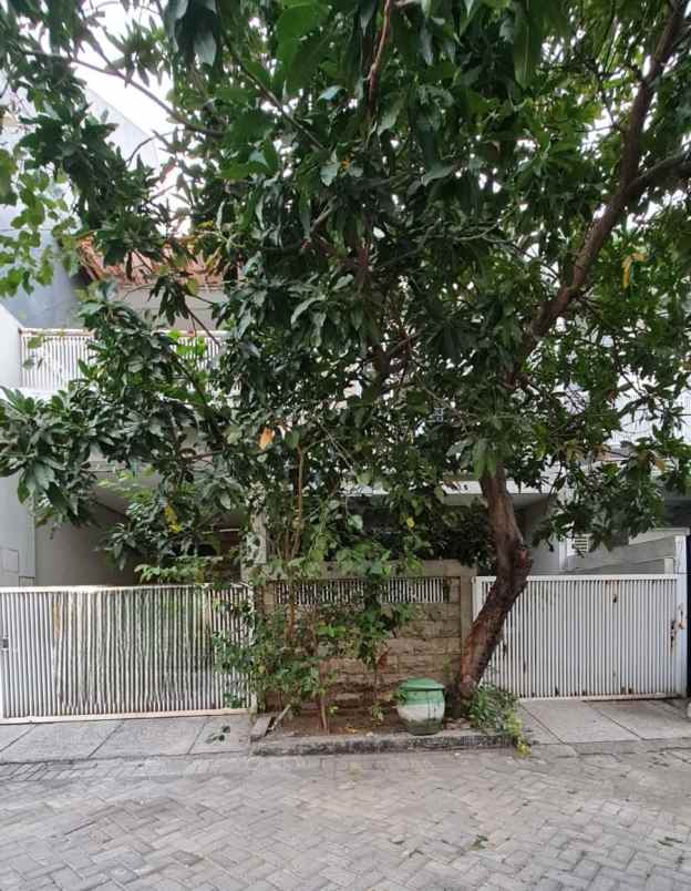 disewakan rumah gayung kebonsari