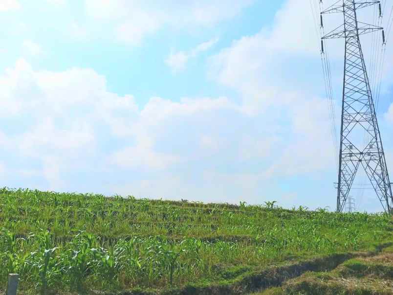 disewakan tanah selemadeg timur tabanan bali