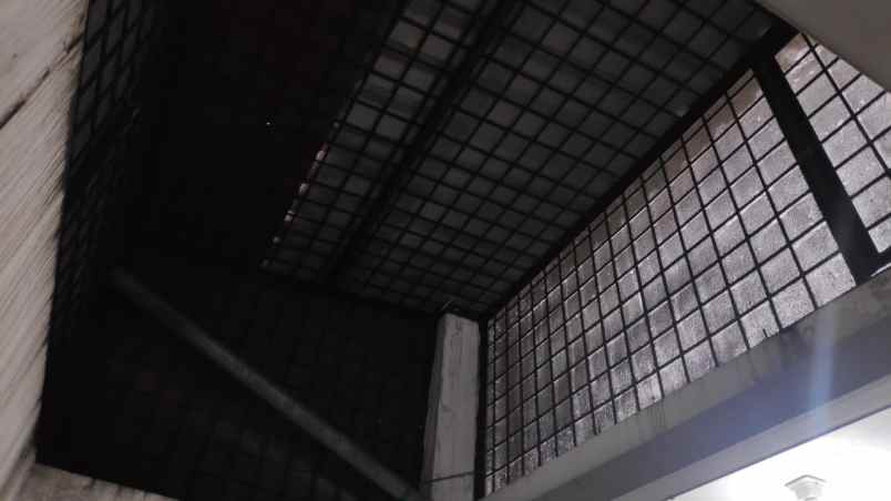 green semanggi mangrove siap huni full kanopi