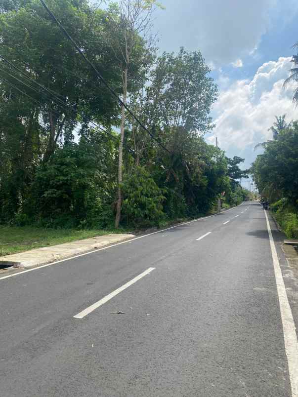 jual tanah di singekerta ubud gianyar bali