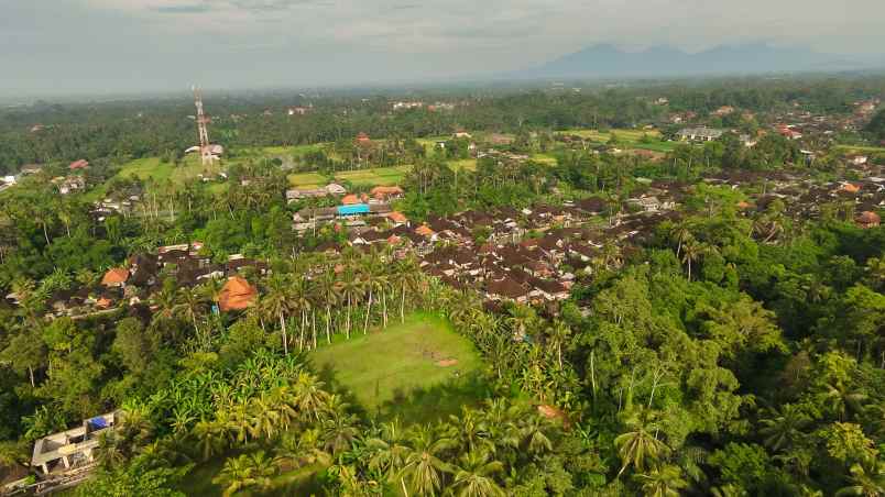 kesempatan langka di ubud