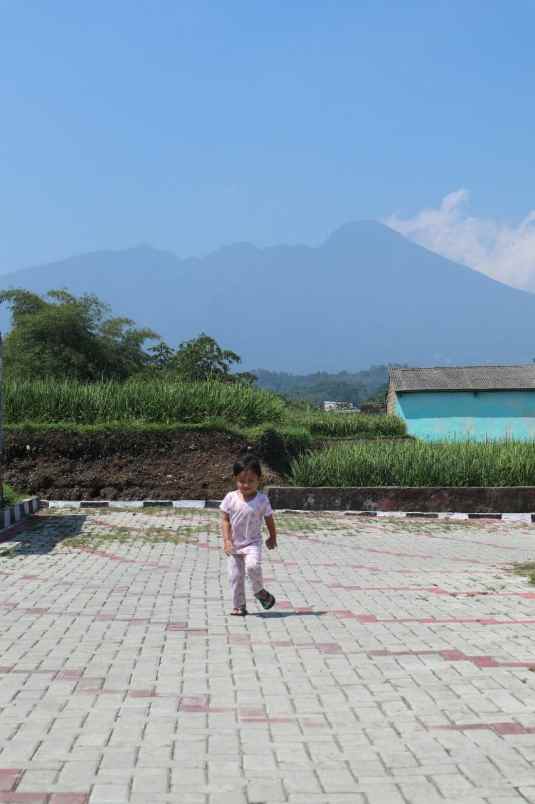 rumah pagelaran ciomas