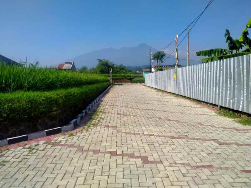 rumah pagelaran ciomas