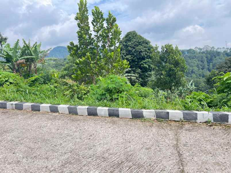 tanah 1150m dekat wisata grojogan sewu tawangmangu