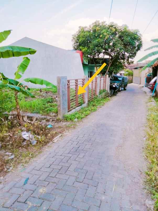 tanah 150 meter shm di bulusan tembalang